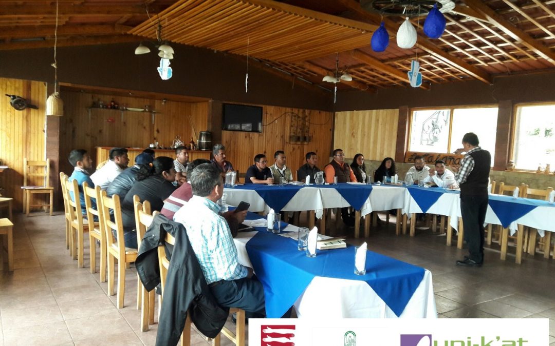 Socialización y entrega del informe de sistematización del PDM-OT