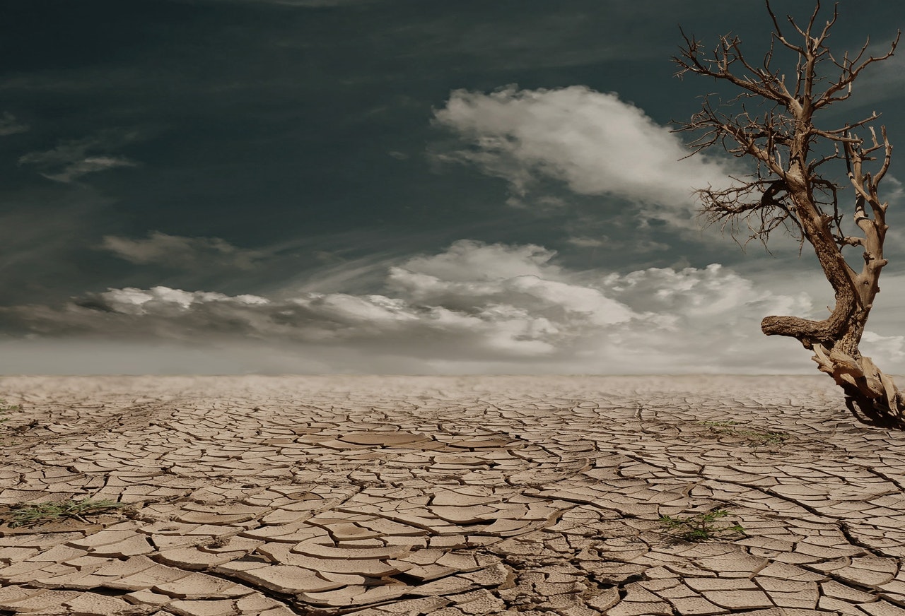 Los desastres naturales regresan el debate sobre el cambio climático