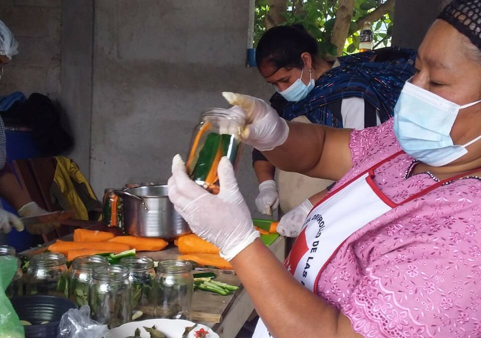 Promoviendo el desarrollo de las mujeres del Municipio de San Antonio Sacatepéquez, Departamento de San Marcos.
