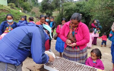 Se implementan medidas de manejo integral de cuencas con grupos de mujeres del municipio de San Antonio Sacatepéquez.