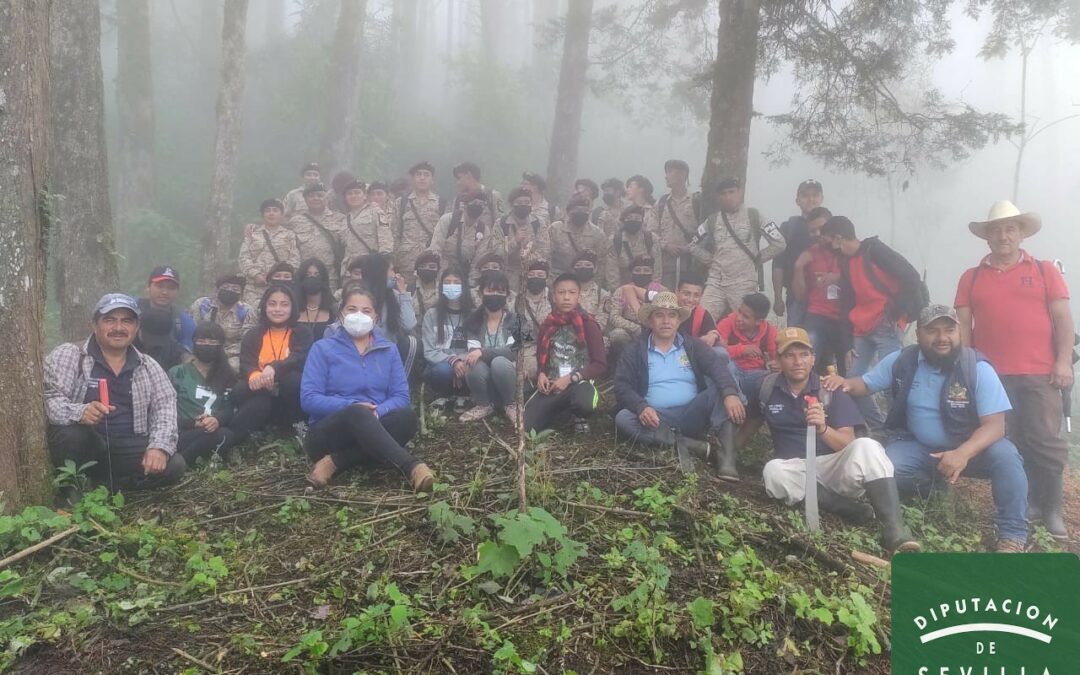 Se desarrolla jornada de reforestación en el municipio de Esquipulas Palo Gordo.