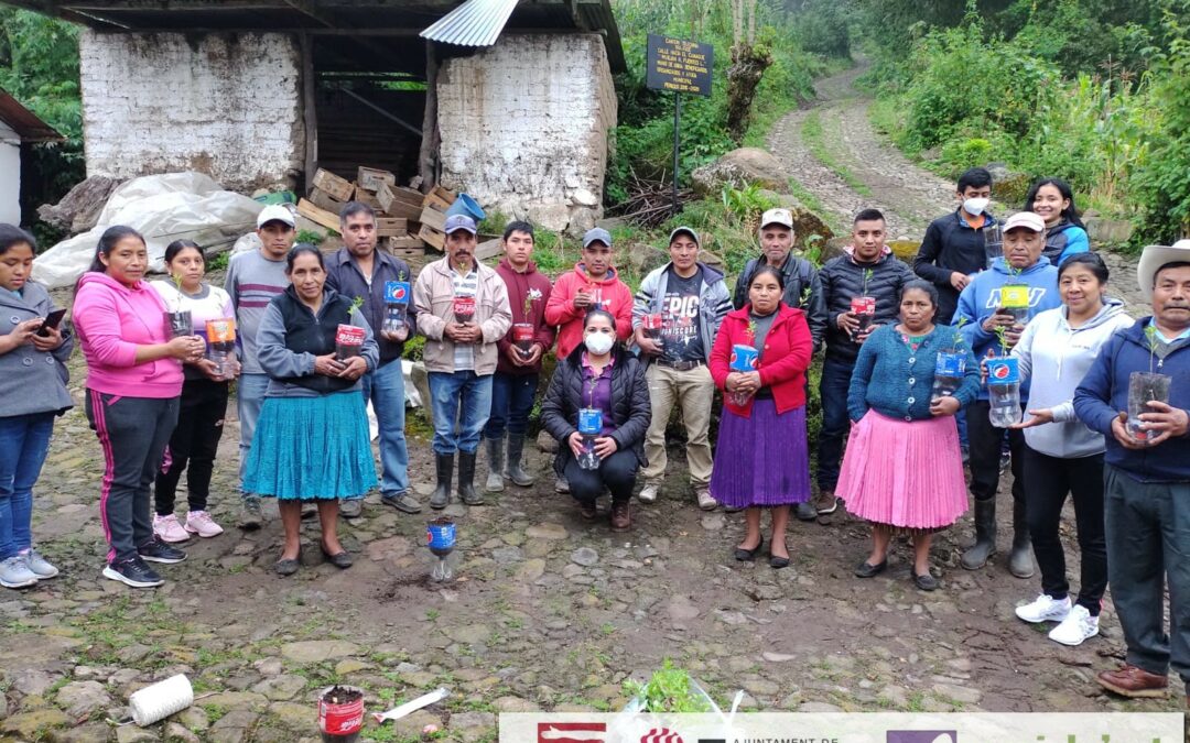 Agricultores del municipio de San Antonio Sacatepéquez implementan medidas de Manejo Integral de Cuencas.