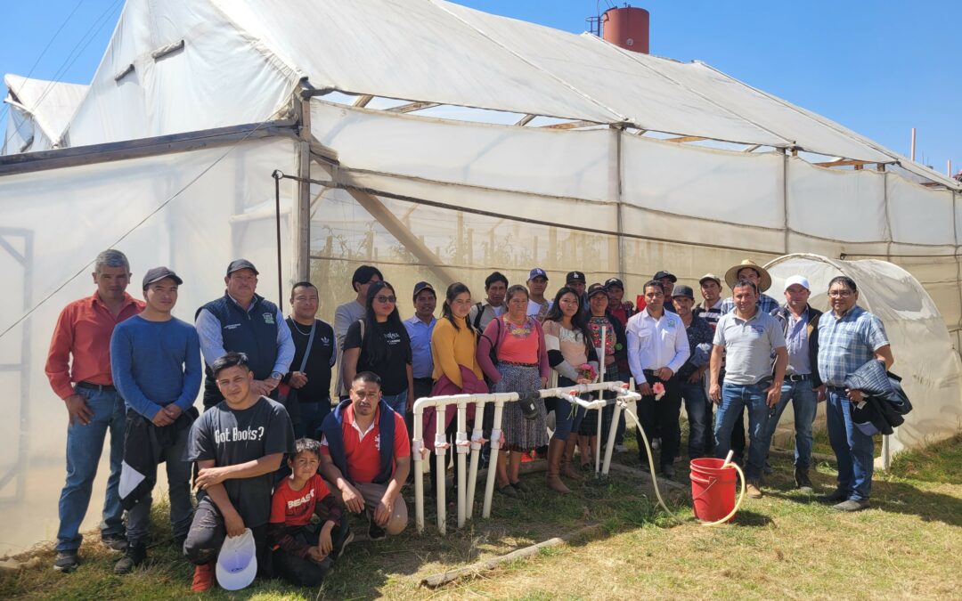 Agricultores del municipio de San Antonio Sacatepéquez, participan en  gira demostrativa a las instalaciones de Fundación para el Desarrollo Integral FUDI UTZ SAMAJ.