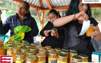 Se lleva a cabo un acompañamiento técnico a mujeres organizadas.