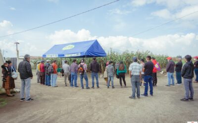 Gira técnica con agricultores de las comunidades de Santa Irene y San Miguel de los Altos, al Instituto de Ciencia y Tecnología Agrícola ICTA de Quetzaltenango.